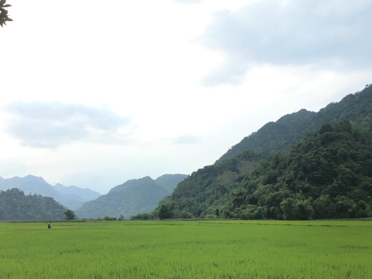 Hoang Quan Homestay 바베현 외부 사진